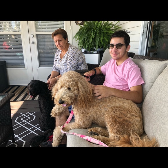 My babies - Picture 1 of 5